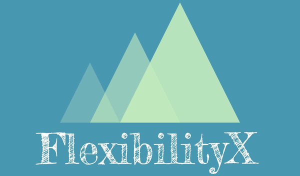 FlexibilityX